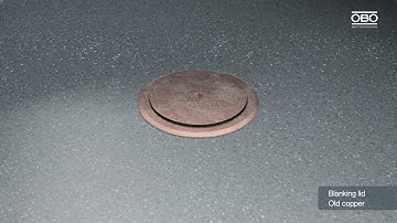 GES R2 Image video - OBO Bettermann