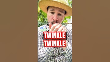 Harmonica Tutorial Twinkle Twinkle Little Star #harmonica #tabs