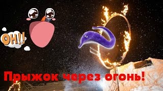 Пушистик байла купить на aliexpress