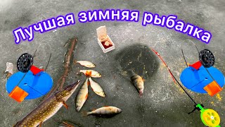 Winter Fishing. Winter Fishing In February. Fishing With Winter Fishing Tackle Scarf, Khapuga