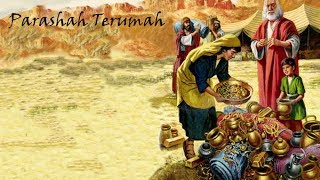 #19 - Torah Parashah Terumah