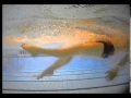 Swim Backstroke legs