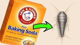 How to Get Rid of Silverfish with Baking Soda- A Natural and Effective Solution