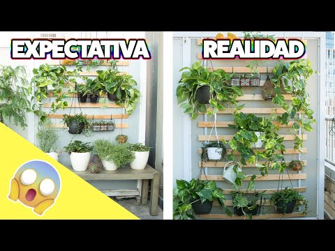 Video: Soporte para plantas trepadoras con materiales improvisados