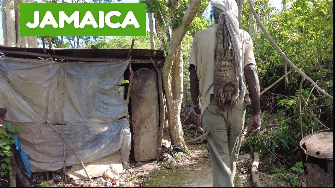 HURRICANE Melissa Leaves Jamaica's in SHAMBLES Aftermath on Tolloch Road  St.James 