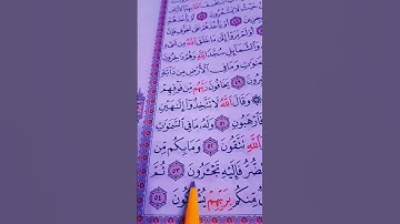 الآية من القرآن سورة النحل{ وما بكم من نعمة فمن الله } #ماهر_المعيقلي #الحمدلله #quran