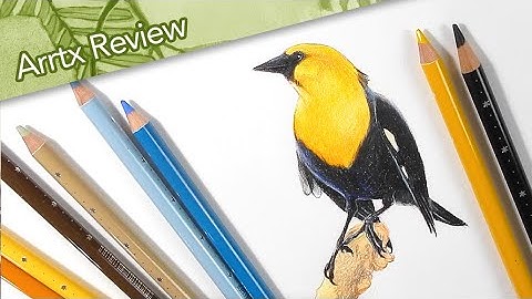 Arrtx Colored Pencils Review // A Prismacolor Alternative?!
