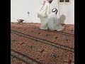 خرب الخشوع عليهم هههههه 