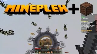 If Mineplex Had Music (Skyfall)