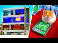 Hamsters&#39; Adventure In Shelter And Space Station
