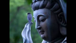 Video thumbnail of "Love Peace and Harmony"