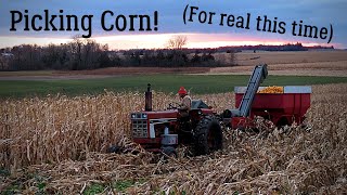 Picking Corn 2019  Part 1