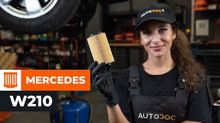 How to change oil filter and engine oil on MERCEDES W210 [TUTORIAL AUTODOC]