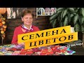 Семена цветов на 2022 год. Обзор семян.