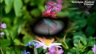 ANTARA KAU DAN AKU (jamal Mirdad) Teks Lirik