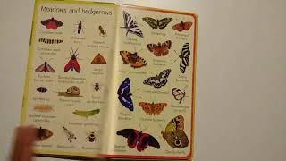 199 Bugs