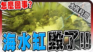 海水魚死掉了竟然把整個魚缸給毀了水族時間【黑羽】