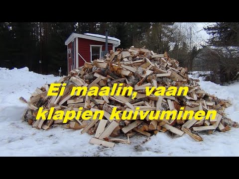 Video: Puun kuivaus kotona: puulajit, kuivaustekniikka, menetelmät, kuivausajat ja kotikäsityöläisten neuvoja