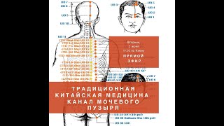 видео: Доктор Алишер Васлиев.   Основы ТКМ. Канал мочевого пузыря. картинка: Доктор Алишер Васлиев.   Основы ТКМ. Канал мочевого пузыря.