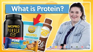 Proteins Explained: What Are They and How Do They Help Your Body