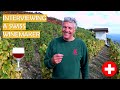 IS SWISS WINE ANY GOOD? Talking to a Swiss winemaker | Vendanges 2021 at the famous Lavaux vineyards