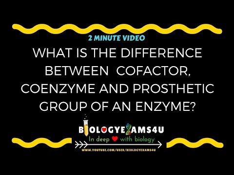 Vidéo: Différence Entre Le Groupe Prothétique Et La Coenzyme