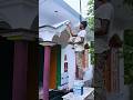 outside Border design colour apply ideas workar #wallpenting #tending #shots #viral #video #youtube