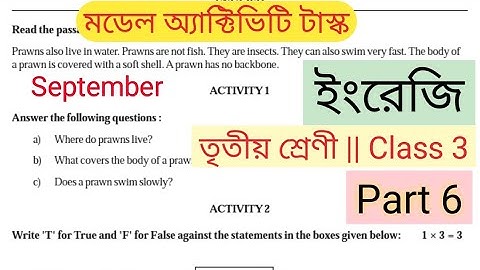 class 3 english model activity task part 6