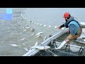 The fastest ways to fish at sea you've never seen || Unbelievable The Most Big Net Fishing At Sea