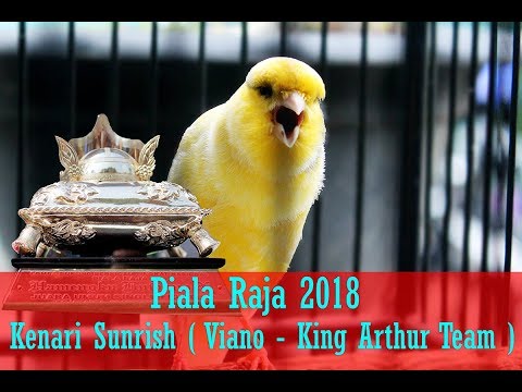 PIALA RAJA 2018