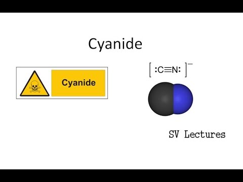 cyanide a metabolic poison youtube cyanide is a metabolic poison that works at which site