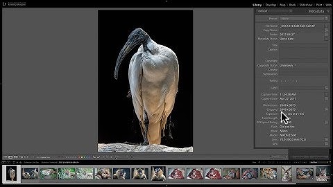 Mastering Lightroom Classic CC - 5: Metadata