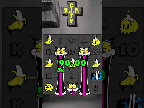 Experience the Purr-fect Online Casino: Cat Casino for English Speakers in Ireland