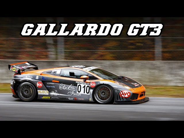 Image of Lamborghini Gallardo GT3