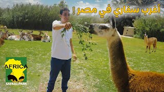 Africa Safari Park اغرب و اندر مكان في مصر !! - افريكا سفاري بارك