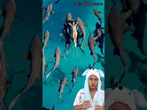 วีดีโอ: สัตว์อะไรว่ายน้ำไม่ได้?