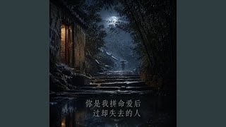 你是我拼命爱后过却失去的人