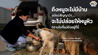 "ตราบใดที่แม่ยังอยู่ พวกหนูยังมีหวัง" | นางฟ้า-เทวดาของสัตว์จร EP.4