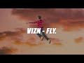 Vizn  fly official visualizer