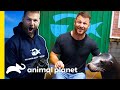 🔴 Dave Salmoni's Best Animal Lessons | Animal Bites with Dave Salmoni