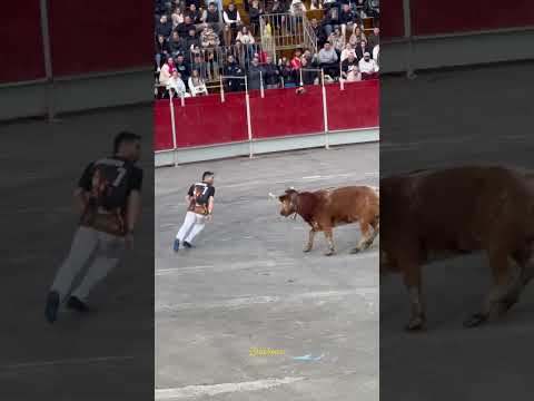 “Omar” El ganador del concurso de maestros de la calle Vall d’Uixo Castellón 2025
