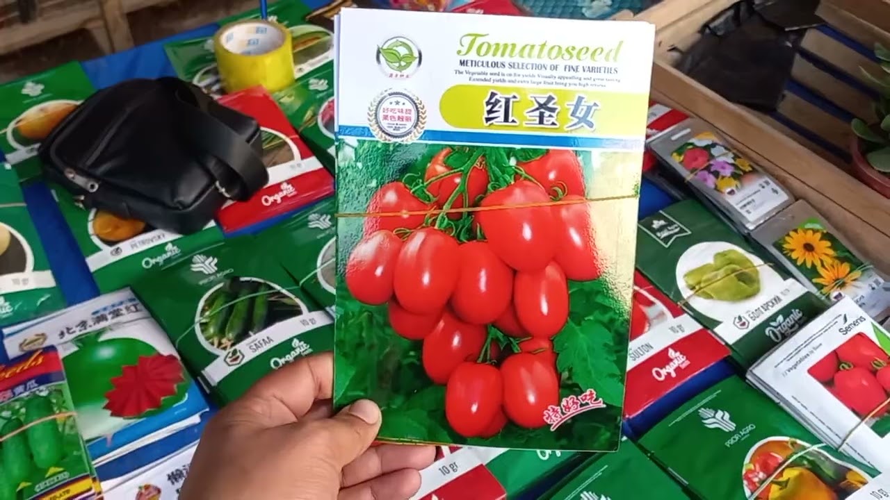 20 ФЕВРАЛЬ ТОШКЕНТ ЧОРСУ ГУЛ БОЗОРИ🌵🌴🌳🌾🌿⚘️🪻🌷🌼🌳🌿🌾🌵🌴