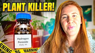 How To Use Food Grade Hydrogen Peroxide On Houseplants. Why Using Store Hydrogen Peroxide Is BAD!
