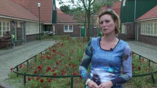 Iconen Van Dudok Wonen Duivenstraat