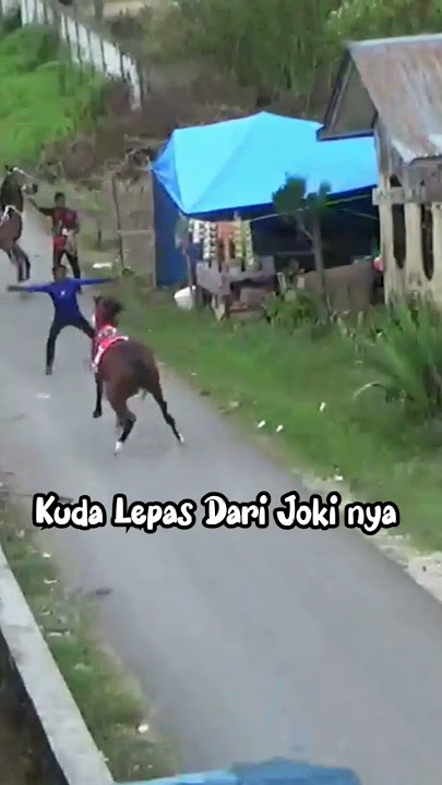 Kuda Lari Sendiri Tanpa Joki #shorts