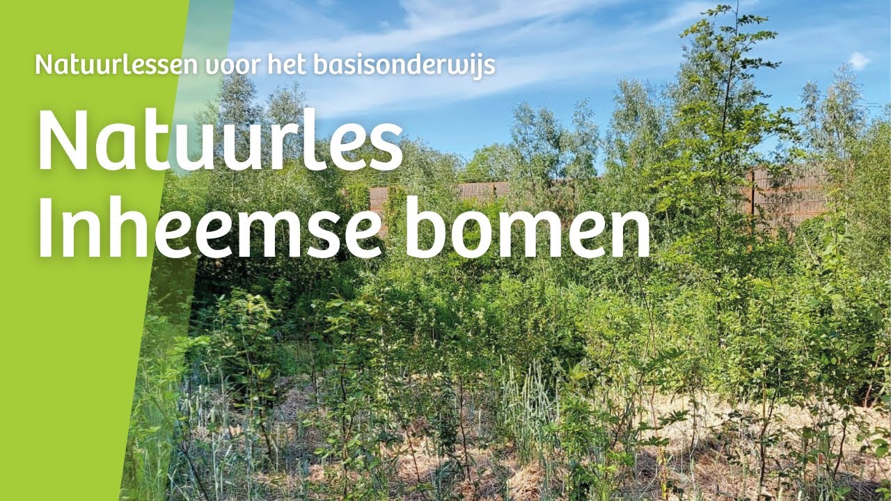 Natuurles: Inheemse bomen - YouTube