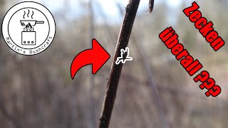 Hilfe wo sind überall Zecken ??? Bushcraft Talk eure Fragen meine Antworten | Martin´s Bushcraft
