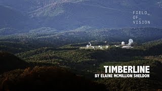 Watch TIMBERLINE Trailer