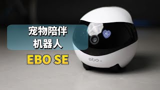 宠物监控机器人EBOSE，来自enabot的小玩具