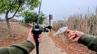 FISHING A WAKE BAIT DURING THE SHAD SPAWN